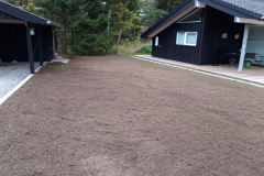 Etablerring-af-græs-3a