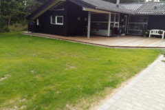 Etablerring-af-græs-4a